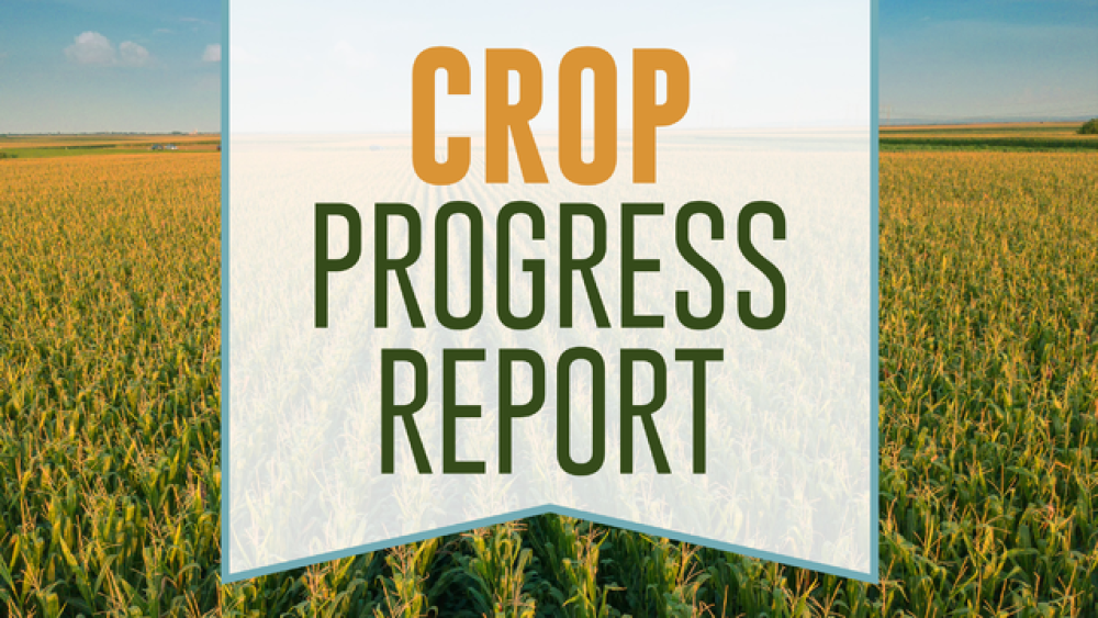 Crop Progress Graphic