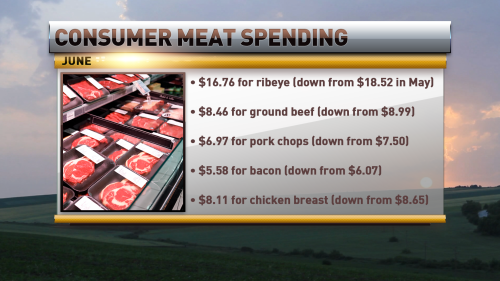 Consumer meat spending