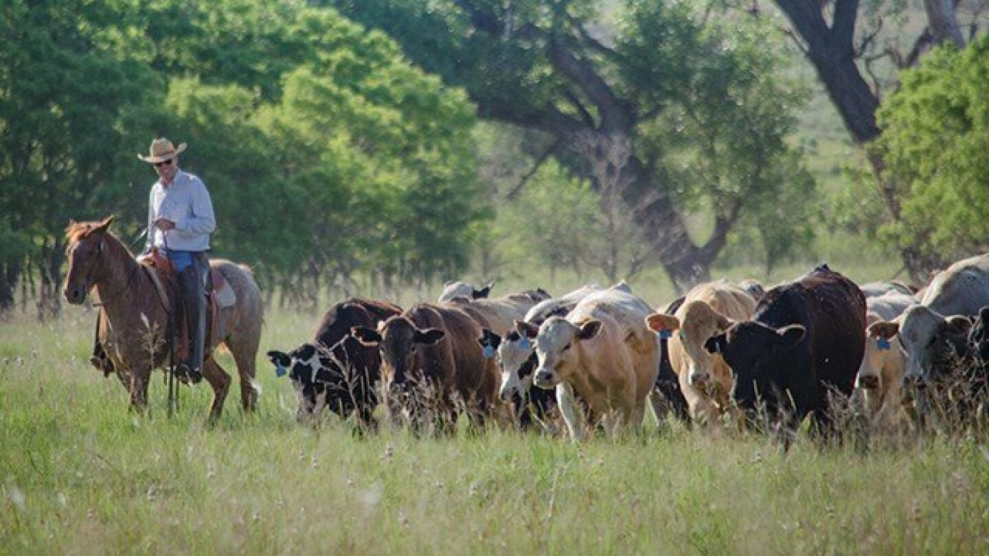 Cattlemen to Cattlemen