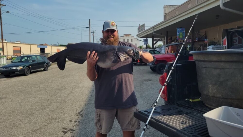 NC catfish 1280.jpg