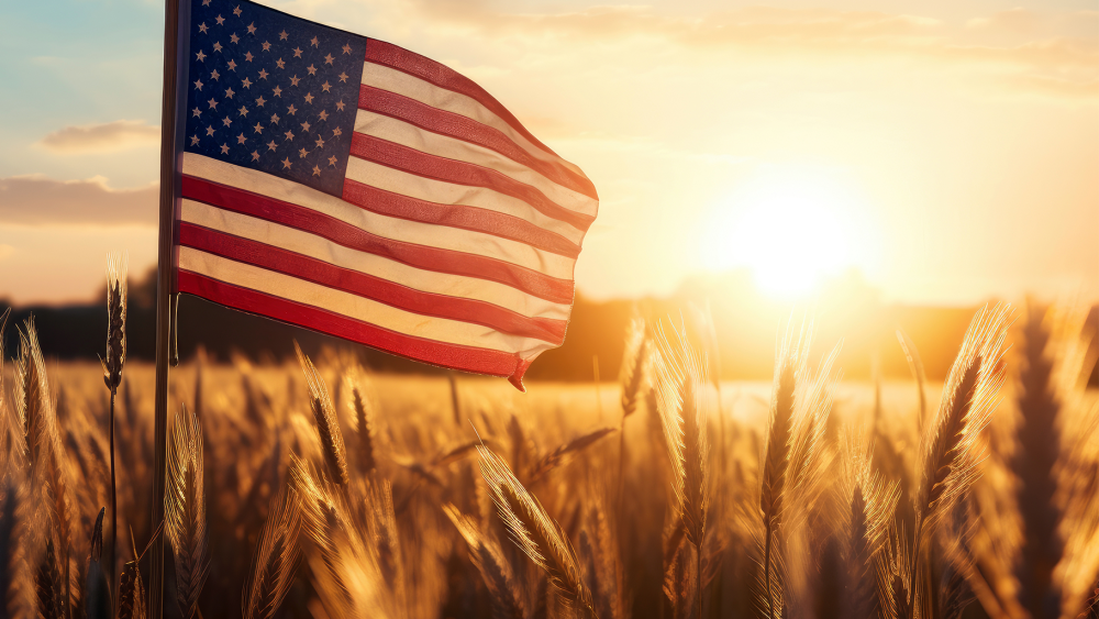 american flag wheat sunset_adobe stock.png