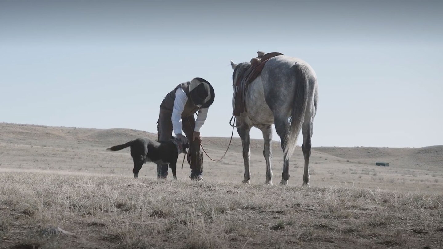 Legacies_Header-Cowboy-Horse-Dog_1920x1080.jpg