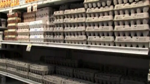 egg prices (1).jpg