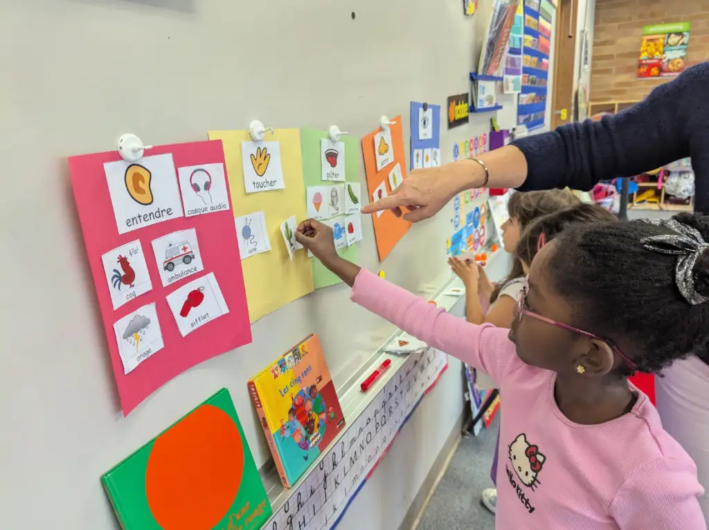 Student in Kindergarten Learning French